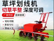點(diǎn)擊查看詳細(xì)信息<br>標(biāo)題：草皮劃線(xiàn)機(jī) 閱讀次數(shù)：2585